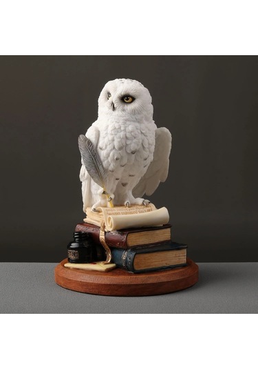 Kitap Üzerinde Beyaz Kar Baykuşu Hedwig Biblosu