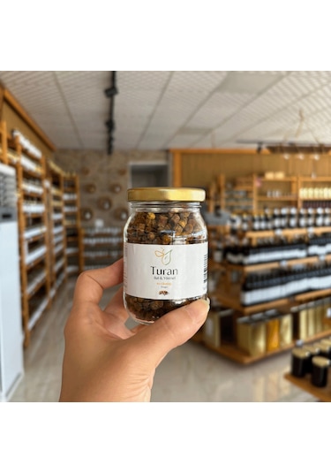 Turan Bal ve Yöresel Arı Ekmeği Perga 100 G