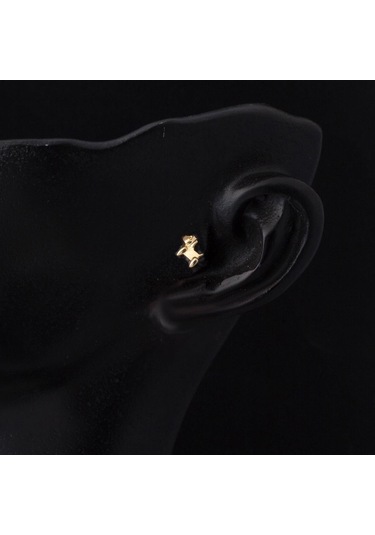 Bilezikci  14 Ayar Altın Tragus Piercing Küpe Kphsy14k22506