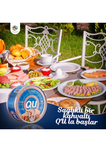 Qu Sade Ton Balığı 12 x 160 G
