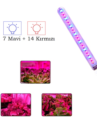 Taşınabilir Bitki Büyütme Lambası 21 Led Mor Stick Led Aydınlatma