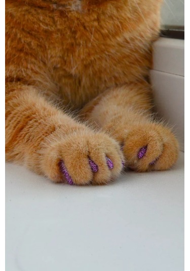 E.lekar' Kediler İçin Tırnak Koruyucu Kapaklar 40 Adet L 208058625