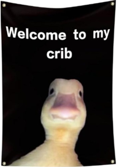 Novahub Duvar Bayrağı Yaratıcı Benim Beşik Bayrağıma Hoş Geldiniz Dayanıklı Kolay Kurulum Ev Dekorasyon İçin Duvar Asılı Afiş 1 Adet