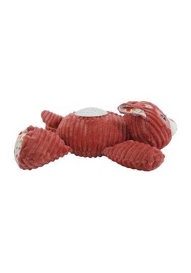 Prego Müzikli ve Gece Işıklı Ceylan P210622