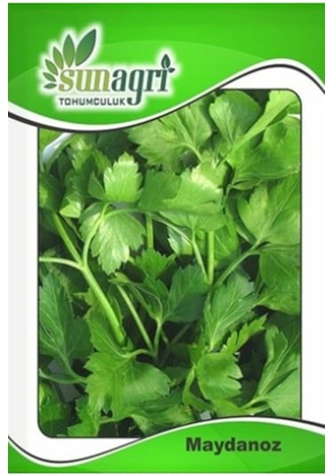 Giant D Italia Maydonoz Tohumu 10 Gr.