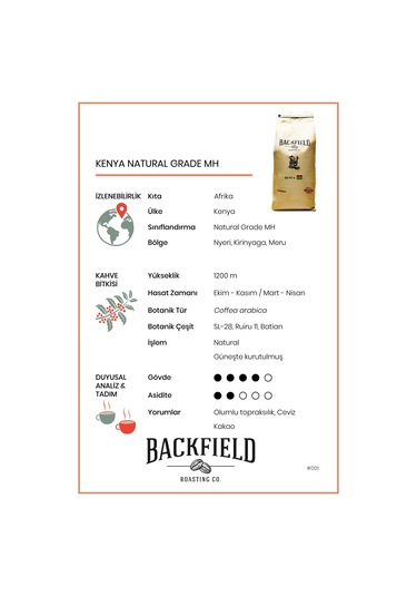 Backfield Roasting Co. Kenya Natural Grade Çekirdek Kahve 1 KG
