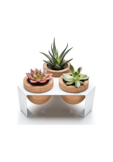 Halohope Metal Stantlı 3'lü Skulent Saksısı Beyaz Saksılık