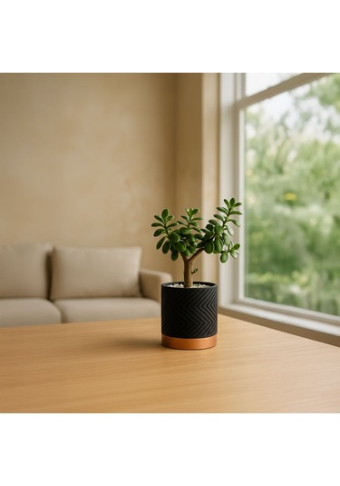 Linea Noir Modern Saksı