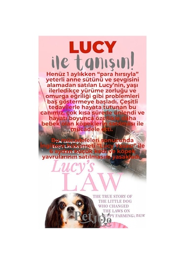 Petjoo 11.Lucy Gri-Kırmızı Qr'lı Köpek Künyesi