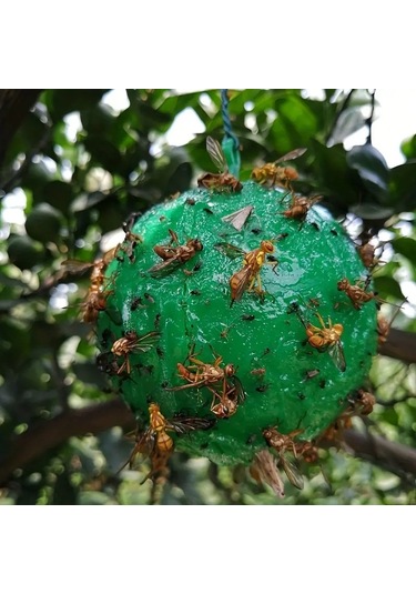 Açık Meyve Sineği Sivrisinek Narenciye Tuzağı Yapışkan Top Yeşil