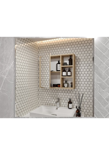 Banyo Tuvalet Aynalı Dolap Lefkas 65' Çok Renkli