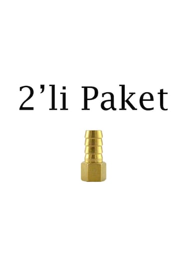 Brio Hava Hortum Dişi Rekoru 1/4 12mm 2 Adet 1/4