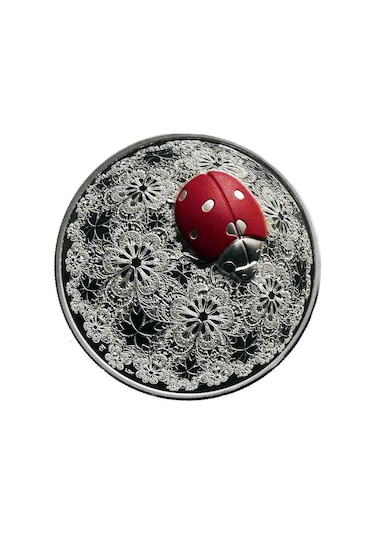 AgaKulche Uğur Böceği Gümüş Sikke Coin