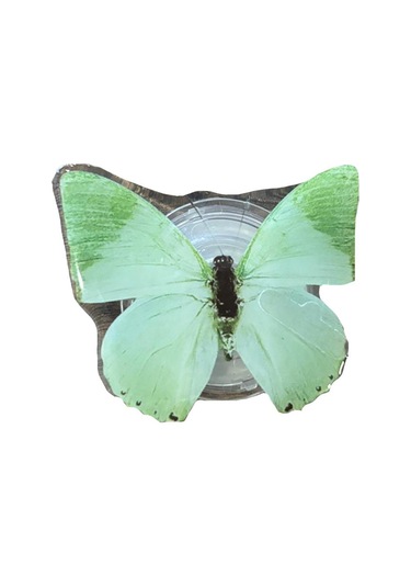 E2m Pop Socket Telefon Tutucu Kelebek Yeşil Yeşil