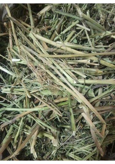 As Baharat Kedi Otu Kökü 1. Kalite 100gr
