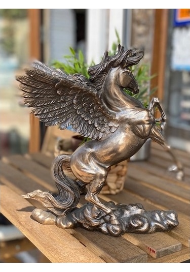Pegasus Biblo
