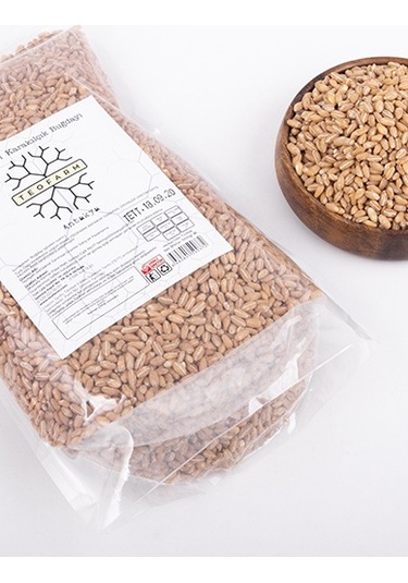 Teofarm Amik Ovası Karakılçık Buğdayı 1 KG