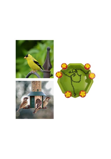 Suntek Arka Bahçe Açık Dekor Için Sinek Kuşu Besleyici