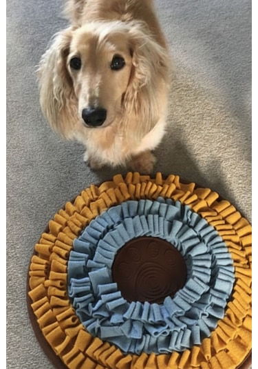 Vantuzlu Snuffle Mat Snuffle Ve Yalama Egzersizi Bir Arada