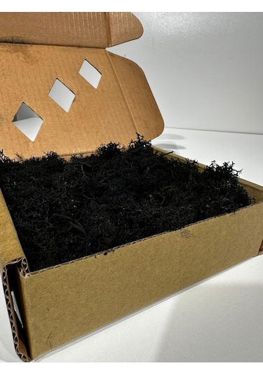 Reindermoss Şoklanmış Norveç Yosunu Terarium Yosunu Siyah 100 Gr.