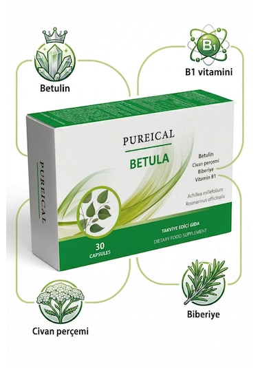 Pureıcal Betula Huş Ağacı Özü Betulin Civan Perçemi Biberiye B1 Vitamini 30 Kapsül