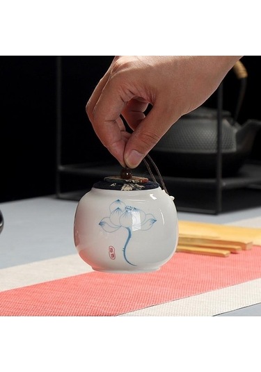 Novahub El Boyalı Seramik Mühürlü Kutu Mini Taşınabilir Seyahat Depolama Tankı Çay Caddy Mutfak Baharat Kavanoz Gıda Kabı D Diğer