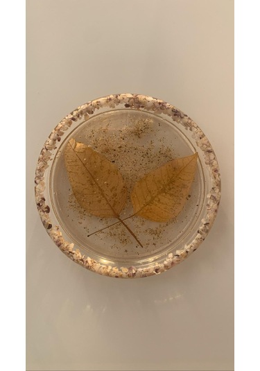Deniz Kumlu Ve Kabuklu Kurutulmuş Yapraklı Epoksi Bardak Altlığı Şeffaf