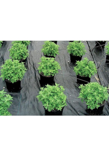 Homyl Izgara Şeritli Siyah Ot Bariyeri Engelleyici 1x1-metre