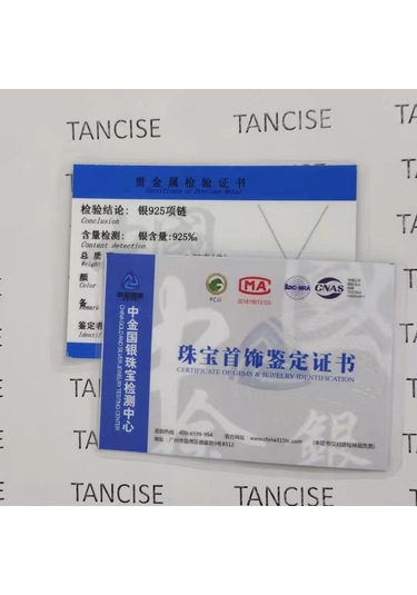 Tancise 925 Ayar Gümüş Klasik Kadın Kolye Kolye Zirkon Moda Hediye