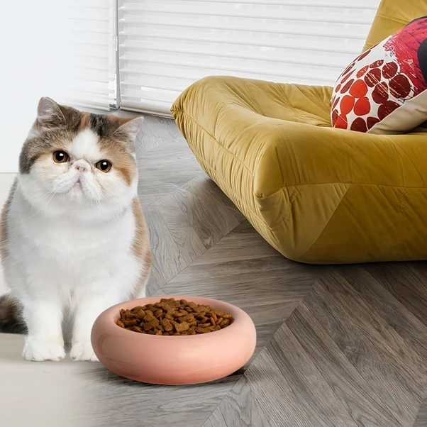 Elmpaly Ktlecl 6.1 İnç Seramik Pembe Kedi Kabı - Kusma Önleyici, Bıyık Yorgunluğu Ve Omurga Koruma