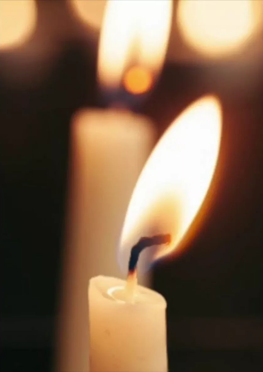 Domsadmarket 6 Adet Bal Mumlu Dekoratif Mum Seti 173939145 Beyaz