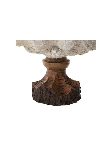 Mudo Home Shell Dekoratif Kase Beyaz 45x25x23 Cm