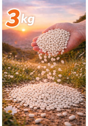 Kuru Fasulye 3kg