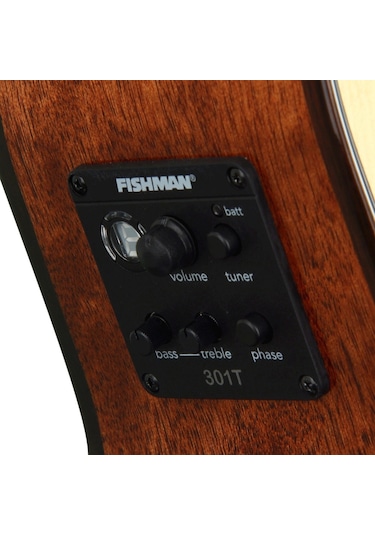 Washburn Woodline 10 Series Wlo10Sce Elektro Akustik Gitar