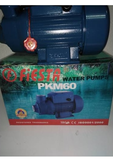 Fiesta Pkm-60 Su Motoru