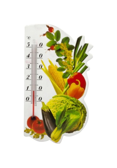 River World Termometre Mutfaklar İçin Mıknatıslı