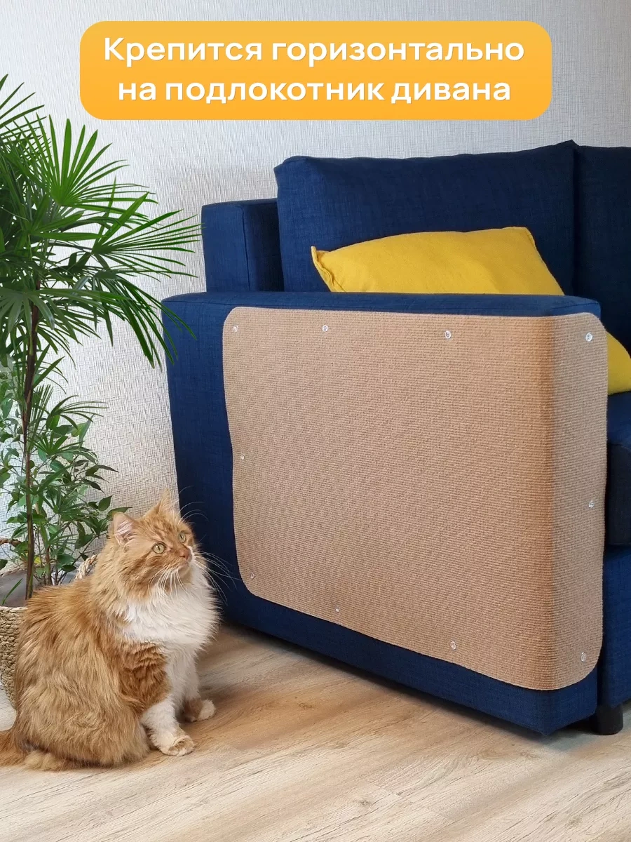 Aseliadia Kedi Kınağı - 80x50 Cm Kanepe Tipi 206357375