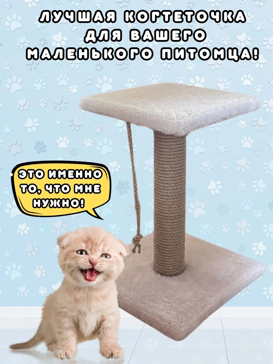 Mr Cat Yavru Kediler İçin Tırmalama Direği 343531753