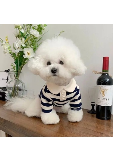 Köpek Giysileri Schnauzer Teddy York Shire Polo Gömlek Yaz Bej