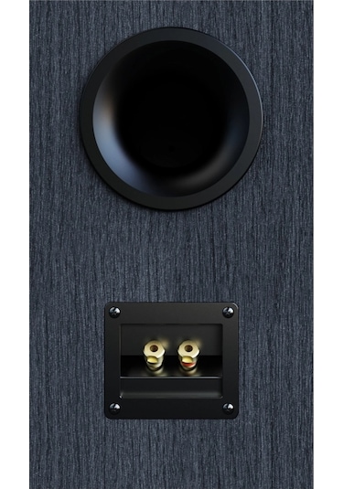 Debut 3.0 Db63-bk Raf Tipi Hoparlör