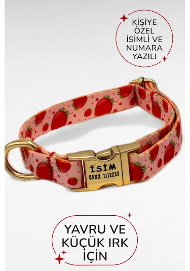 Caramelos İsimli Köpek Tasması, Yavru Köpek Tasması, Küçük Irk Köpek Tasması, Metal Kilit, 1,5 Cm Pembe