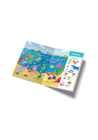 Yükselen Zeka 12-36 Ay Bebeğim Konuşuyor Seti