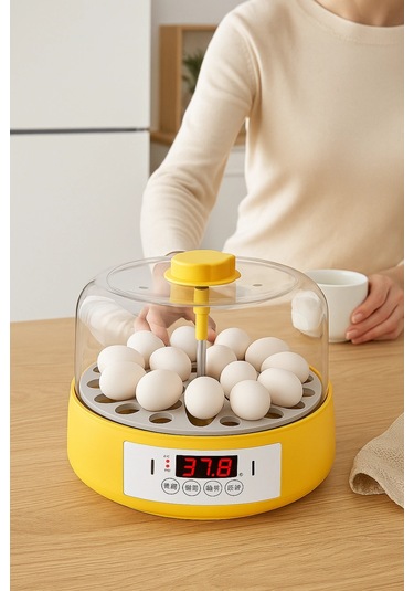 Tam Otomatik Ev Tipi Kuluçka Makinesi Isı Ve Nem Ayarlı Gün Sayaçlı