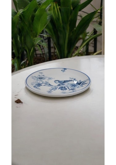 Evmutfak Güral Porselen 6 Adet 25 Cm Şuje Servis Tabağı 1891 Açık Deniz Yeşili