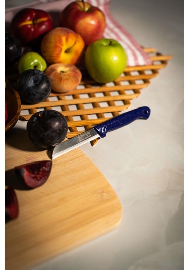 Solingen Simli Meyve Bıçağı Mavi Saplı, 18,5 Cm, Paslanmaz Alman Çeliği Tekli -127 Mavi