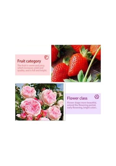 Samdoo Bitki Büyüme Lambası - 80 Led Kırmızı+mavi Tam Spektrum Gu10 Hidroponik Çiçek Sebze Yetiştirme Diğer