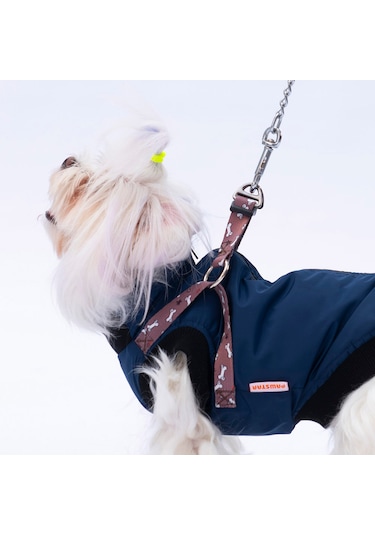 Pawstar Lacivert Nuuk Köpek Yelek