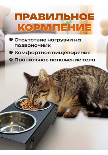 L.f.t. Küçük Irk Kediler Ve Köpekler İçin Çift Kaseli Mama Kabı 399856949