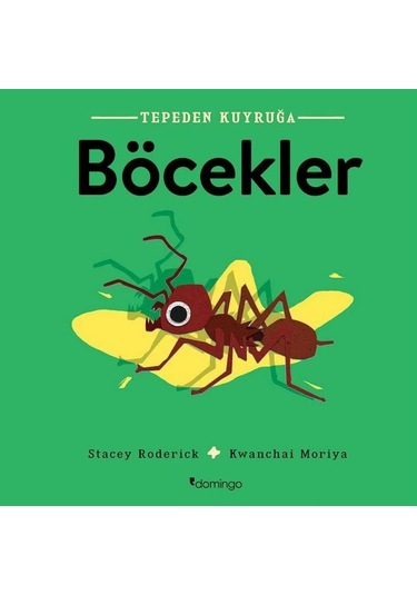 Tepeden Kuyruğa - Böcekler - Stacey Roderick - Domingo Yayınevi