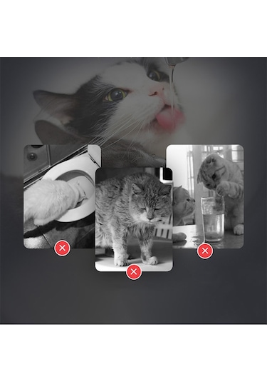 Techtic Kedi Köpek İçin Sessiz Su Çeşmesi Otomatik Su Pınarı Usb